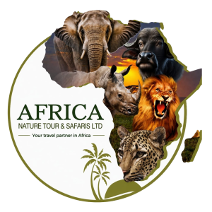Africa Nature Tours and Safaris Logo