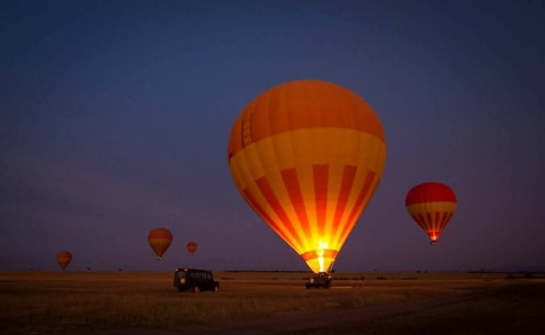 African Nature Safaris (60)