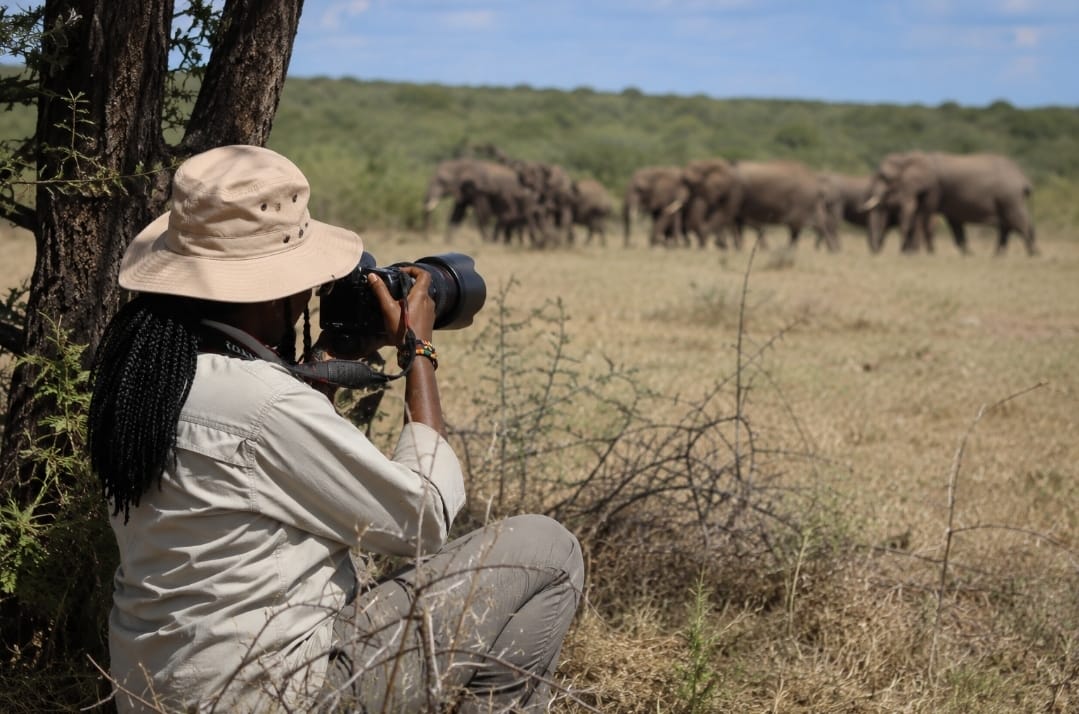 Africa Nature Tours and Safaris Photography Africa Nature Tours and Safaris Photography