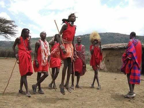 Nairobi Air Safaris By Africa Nature african nature tours and safaris